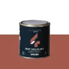 Sale Peinture Peinture canyon Mat 0,5 L - 4MURS Peintures