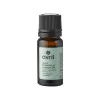 Online Huile essentielle RAVINTSARA BIO 10 ML - 4MURS Bougies Et Senteurs