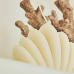 Discount Bougie SHELL coloris beige - 4MURS Bougies Et Senteurs