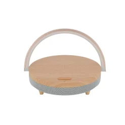Clearance Enceinte LED BOIS BLUETOOTH coloris bois - 4MURS Enceintes Bluetooth