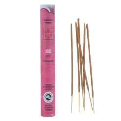 Sale Baton encens AYURVEDIQUE JOIE - 4MURS Relaxation|Bougies Et Senteurs