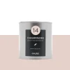 Discount Peinture Finition Peinture pink champagne Satiné 0,5 L Peintures