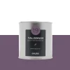 Best Peinture Finition Peinture talisman Satiné 0,5 L - 4MURS Peintures