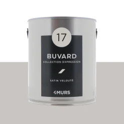 Hot Peinture Multi-supports Peinture buvard Satiné - 4MURS Peintures
