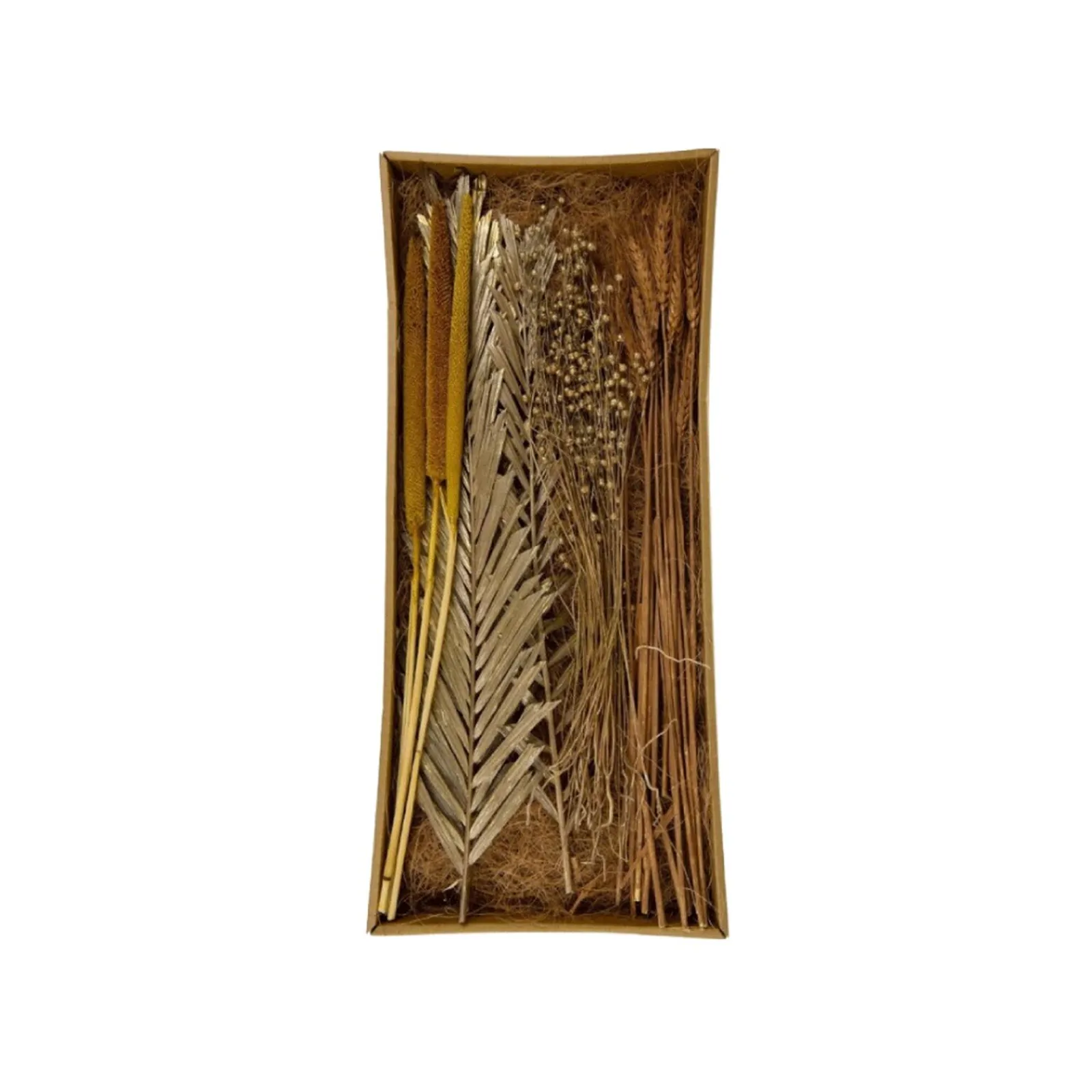 Clearance Fleurs séchées ARONA coloris beige - 4MURS Déco Végétale