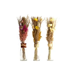 Outlet Fleurs séchées ARRANGMENT IN BOTTLE DRIED FLOWERS Ø6X40CM C/3 Jaune / Rouge Déco Végétale