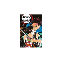 Best Livre adolescent DEMON SLAYER T1 - 4MURS Papeterie Et Livres