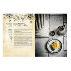 New Livre culinaire GASTRONOGEEK RECETTES VÉGÉTARIENNES Papeterie Et Livres