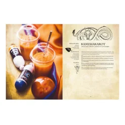 New Livre culinaire GASTRONOGEEK RECETTES VÉGÉTARIENNES Papeterie Et Livres