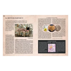 Online Livre mode LA GRANDE HISTOIRE DU PARFUM - 4MURS Papeterie Et Livres