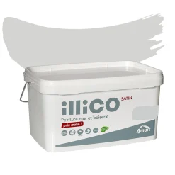 New Peinture Multi-supports Peinture gris urbain Satiné - 4MURS Peintures