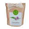 Sale Plante CIBOULETTE coloris papier kraft - 4MURS Déco Végétale