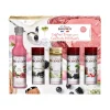 Outlet Coffret SIROPS MINI PÉTILLANT - 4MURS Boissons