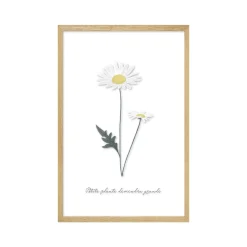 New Image sous verre DOUCE CAMPAGNE MARGUERITE 20 x 30 cm - Enfant Déco Murale Enfant|Tableaux Et Affiches