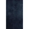 Clearance Papier peint panoramique L ASTRAL SMALL 150 x 270 cm - Papiers Peints Panoramiques|Papiers Peints