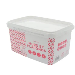 Fashion Peinture MURS ET PLAFONDS PRIX MALIN Peinture blanc - Peintures