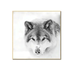 Best Tableau SNOW WOLF 40 x 40 cm - Tableaux Et Affiches
