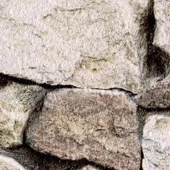 Online Papier peint ETERNAL STONE coloris gris béton - 4MURS Papiers Peints