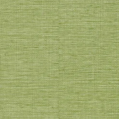 Sale Papier peint intissé CURAÇAO coloris vert bambou - 4MURS Papiers Peints