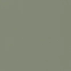 Clearance Papier peint intissé NEW INFINITY coloris kaki clair - 4MURS Papiers Peints