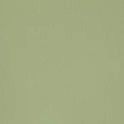 New Papier peint intissé NUNCA coloris vert amande - 4MURS Papiers Peints