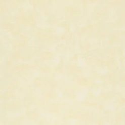 Online Papier peint intissé RAVENNE coloris abricot clair - 4MURS Papiers Peints