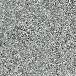 Online Papier peint intissé SUBLIME coloris gris moyen - 4MURS Papiers Peints