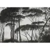 Clearance Papier peint panoramique XL BOSQUET 400 x 270 cm anthracite - 4MURS Papiers Peints Panoramiques|Papiers Peints