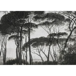 Clearance Papier peint panoramique XL BOSQUET 400 x 270 cm anthracite - 4MURS Papiers Peints Panoramiques|Papiers Peints