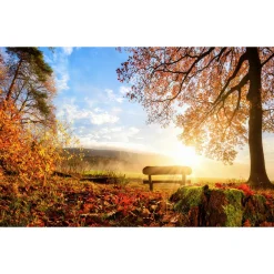 Fashion Papier peint panoramique XL AUTUMN 400 x 250 cm - 4MURS Papiers Peints Panoramiques|Papiers Peints