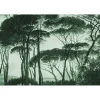 Hot Papier peint panoramique XL BOSQUET 400 x 270 cm vert anglais - 4MURS Papiers Peints Panoramiques|Papiers Peints