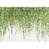 Outlet Papier peint panoramique XL LIERRA 400 x 270 cm - 4MURS Papiers Peints Panoramiques|Papiers Peints