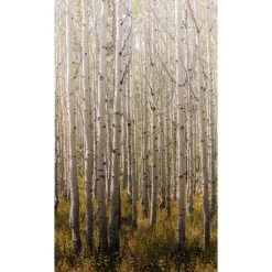 Hot Papier peint panoramique L BIRCH TREE 159 x 280 cm - 4MURS Papiers Peints Panoramiques|Papiers Peints