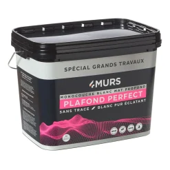 Best Peinture MONOCOUCHE PLAFONDS PERFECT Peinture blanc 6 L - Peintures