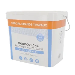 Best Peinture MONOCOUCHE PLAFONDS ESSENTIEL Peinture blanc 6 L - Peintures
