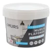 Discount Peinture MURS ET PLAFONDS MONOCOUCHE Peinture blanc 10 L - Peintures