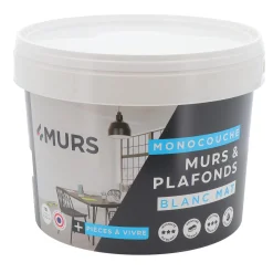 Discount Peinture MURS ET PLAFONDS MONOCOUCHE Peinture blanc 10 L - Peintures