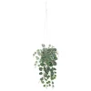 Best Plante artificielle CEROPEGIA coloris vert - 4MURS Déco Végétale