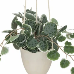 Best Plante artificielle CEROPEGIA coloris vert - 4MURS Déco Végétale