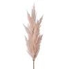 Sale Plante artificielle PINK GRASS - 4MURS Déco Végétale