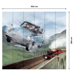 Clearance Poster extra large HARRY POTTER EN ROUTE POUR POUDLARD 300 x 280 cm Papiers Peints Panoramiques|Papiers Peints