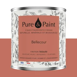 Outlet Peinture Peinture BELLECOUR 0,5 L - 4MURS Peintures