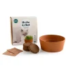 Discount Kit HERBE À CHAT coloris beige - 4MURS Jeux Et Diy