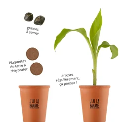 Clearance Kit J'AI LA BANANE coloris beige - 4MURS Activités En Plein Air|Jeux Et Diy
