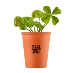 Clearance Kit MESSAGE BONNE CHANCE - TRÈFLE À 4 FEUILLES Activités En Plein Air|Jeux Et Diy