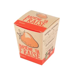Online Kit RAMENE TA FRAISE coloris brun - 4MURS Activités En Plein Air|Jeux Et Diy