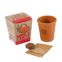 Online Kit RAMENE TA FRAISE coloris brun - 4MURS Activités En Plein Air|Jeux Et Diy