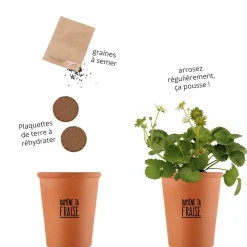 Online Kit RAMENE TA FRAISE coloris brun - 4MURS Activités En Plein Air|Jeux Et Diy