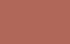 Fashion Peinture Bombe de peinture terracotta Satiné 0,4 L Peintures
