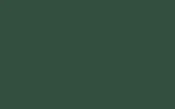 Discount Peinture Bombe de peinture vert foret Satiné 0,4 L Peintures